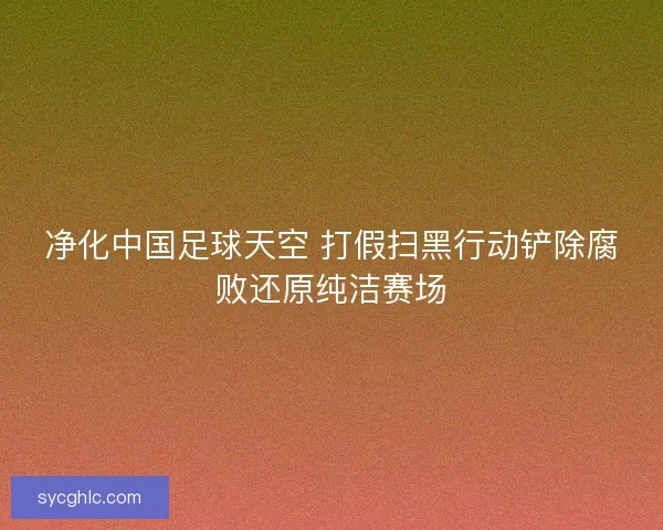 净化中国足球天空 打假扫黑行动铲除腐败还原纯洁赛场