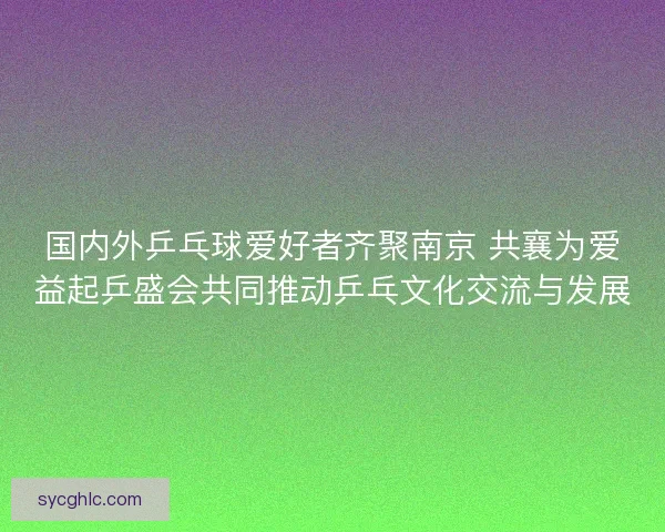 国内外乒乓球爱好者齐聚南京 共襄为爱益起乒盛会共同推动乒乓文化交流与发展